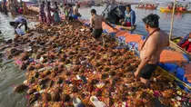 Faecal Coliform Bacteria Ganga Maha Kumbh