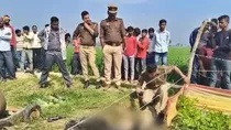 Uttar Pradesh Mainpuri Men burnt alive 