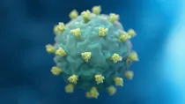 new covid like bat virus found in wuhan know everything about it