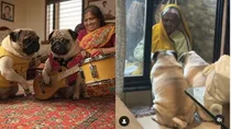 Dadi singing and two dogs listening patiently: Insta viral video