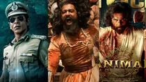 chhaava collection, vicky kaushal