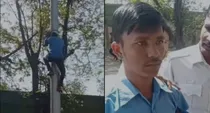 madhya pradesh singrauli traffic police checking youth climbs electric pole