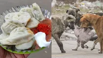 Punjab Mohali A dog's severed head was found in a momos factory