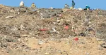 IGI Airport waste illegally dumped near flight path creates safety risk 