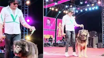  Wolfdog Buy for 50 Crore