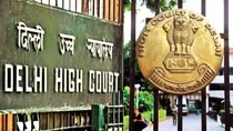 Delhi High Court Observers That Capable women with earning capacity shouldn't ask for interim alimony