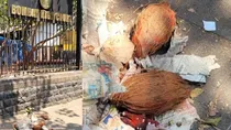 Bombay High Court, Voodoo Dolls