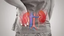 symptoms that kidneys are not working properly &  which foods improve kidney health