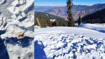 Outrage as tourists litter India's scenic mountains with gutka stains, plastic waste