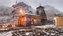  mules used in Char Dham Yatra getting infected by H3N8 