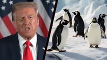 Donald Trump, Penguins
