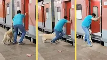 Dogs Slips under Train, Jhansi