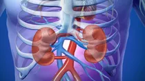 if urine  starts smelling a lot, it is an indicator of infected kidneys 