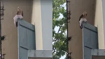Eagle Snatches Exam Hall Ticket
