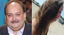 Mehul Choksi, Barbara Jarabica