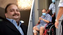 मेहुल चोकसी