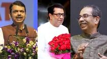 Devendra Fadnavis on Raj and Uddhav Thackeray