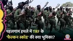 TRF Falcon Squad