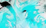 Scientists have found a hole Polynya as big as Haryana in antarctica sea ice earth