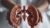 kidney fungus infection causes symptoms prevention and treatment in hindi 