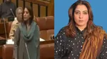 Pakistan Senator Provocative Remarks, Says First Brick Of The New Babri Masjid Laid by Pakistani Soldiers