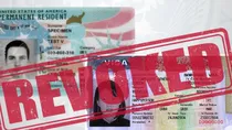 indian legal immigrants green card holders america