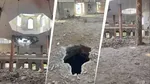 Subhan Allah Masjid, India Strike on Pakistan