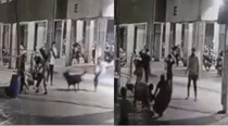 Ahmedabad Dog Attack