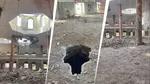 Marqz Subhan Allah
