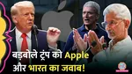 trump advice to apple ceo tim cook on factory in india ceo and india reply