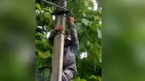 Electricity