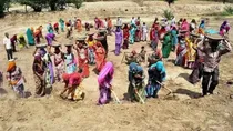 MGNREGS libtech study employment scheme