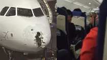 Plane Nose Damaged, Indigo, indigo flight
