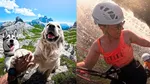 GoPro was once the undisputed king of the action camera industry, a brand synonymous with adventure and adrenaline. Today, its stock price has plummeted from a high of $86 to a meager $1.30, and the company faces a 33% probability of bankruptcy. 