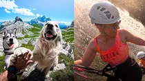 GoPro was once the undisputed king of the action camera industry, a brand synonymous with adventure and adrenaline. Today, its stock price has plummeted from a high of $86 to a meager $1.30, and the company faces a 33% probability of bankruptcy. 