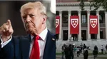 Harvard university donald trump international students