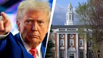 Harvard Sues donald trump administration