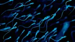 Sperm Donor, Sperm Donate