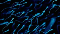 Sperm Donor, Sperm Donate