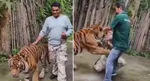 tiger attack indian tourist thailand tiger kingdom reel danger selfie 