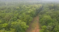 karnataka ifs officers accused forest land transfer hmt real estate