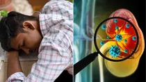 fatigue and swollen ankles can be symptoms of kidney disease 
