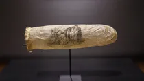 200 year old condom in netherland rijksmuseum museum