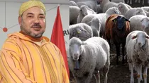 Morocco Sheep sacrifice