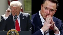 Trump Vs Musk