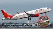 Air India plan crash