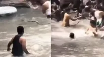 Snake slithers into tourist-packed waterfall