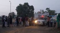 Man killed while transporting cattle