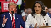 donald Trump tulsi gabbard