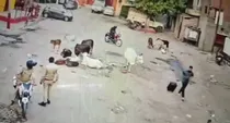 kanpur si alerts murder accused anup shukla caught on cctv